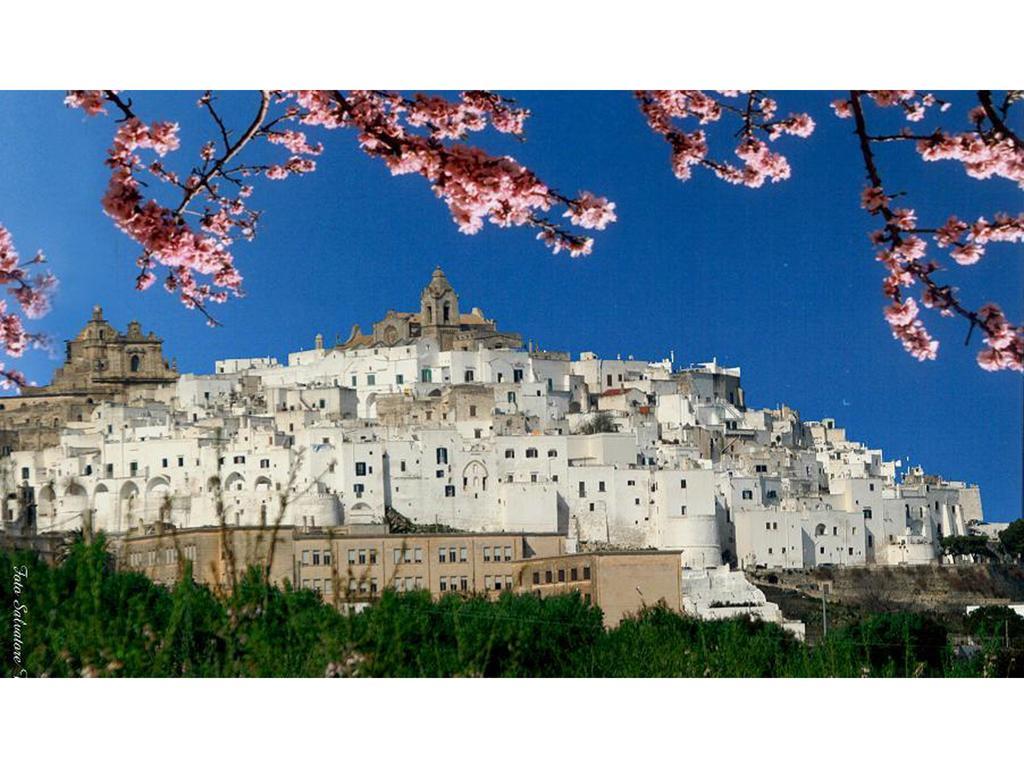 Casa Farella B&B In Suites Apartments Altamura X Matera Экстерьер фото
